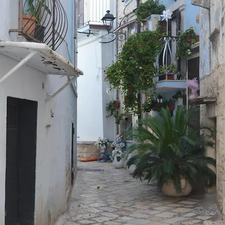 Geometric Donna Giulia 3*