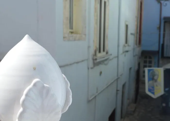 Geometric Donna Giulia Gasthuis